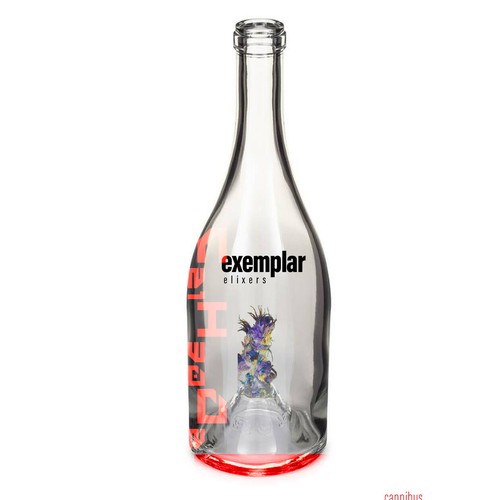 EXEMPLAR ELIXERS