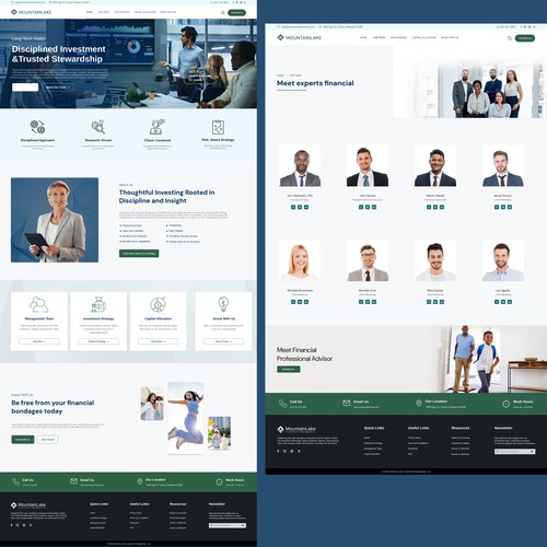 Financial mannagment agency website design