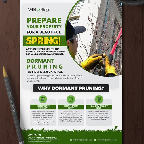 Flyer design