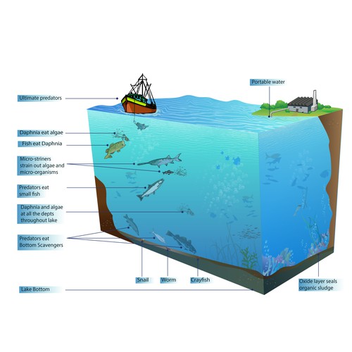 2 new side view "lake" illustrations needed for updating flyer for Air Diffusion Systems