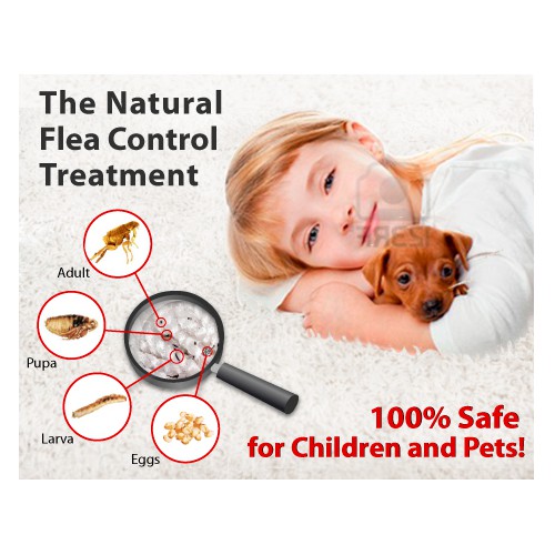 New design wanted for Rx for Fleas