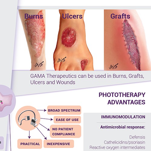 Medical Illustration Poster