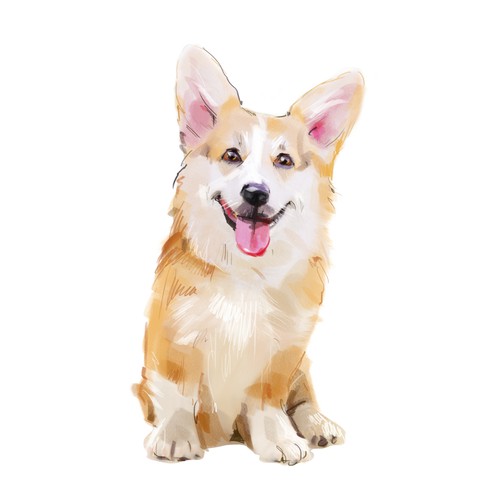 Happy Corgi