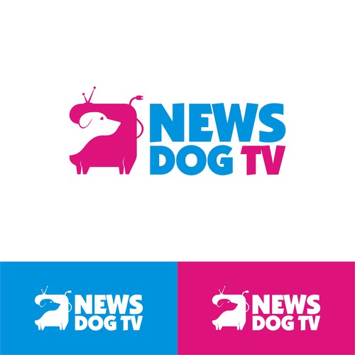 news dog tv