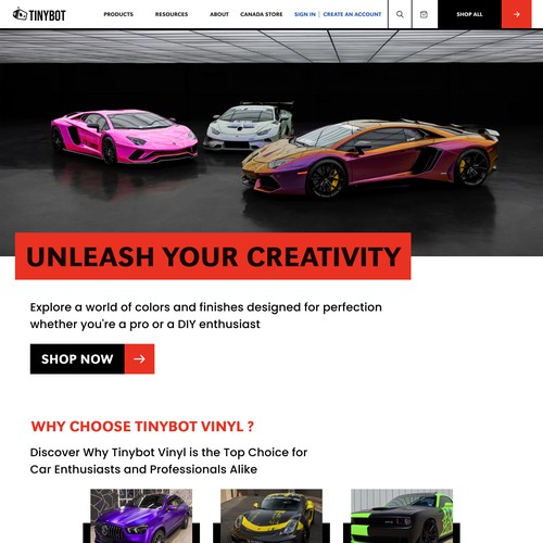 tinybot vinyl wrap store