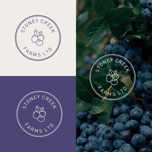 Logo design for Blueberry Farm