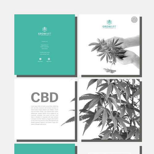 Modern and clean Brochure for hemp/CBD Company