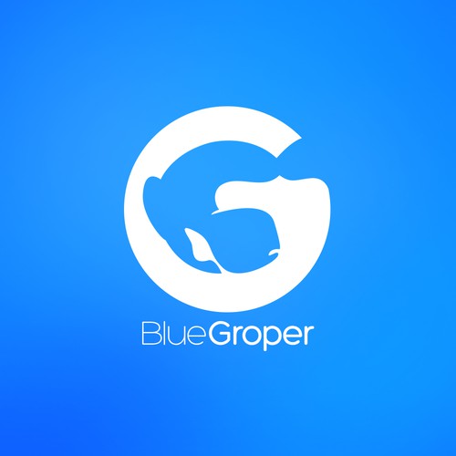 BLUE GROPER