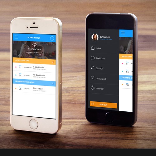 Redesign iOS Mobile App for PlanIt Sitter