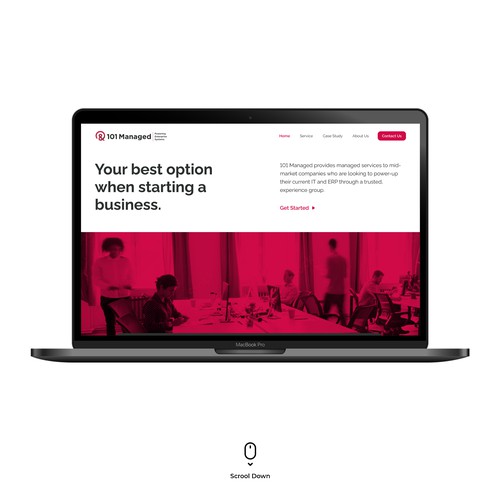 101 Managed Website Concept Design
