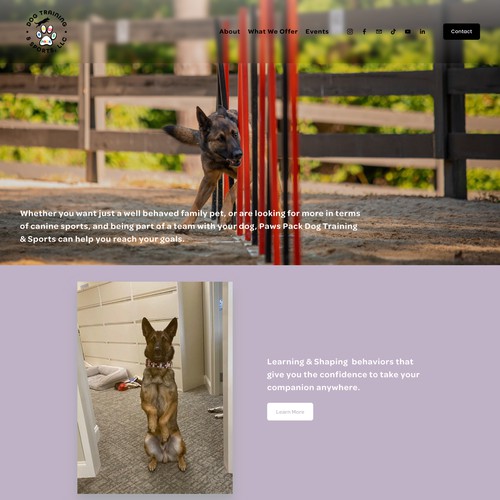 Paws Dog Training & Sports LLC