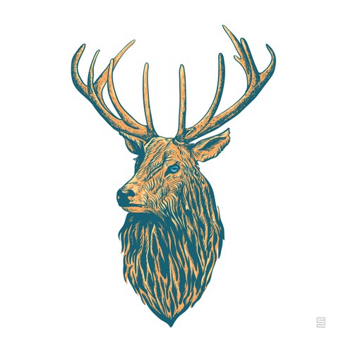 Illustration of Deer