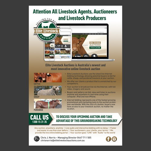 Elite Livestock - Email Marketing Flyer