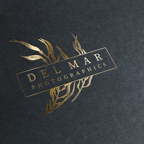 Del Mar Photographics Logo Sketch