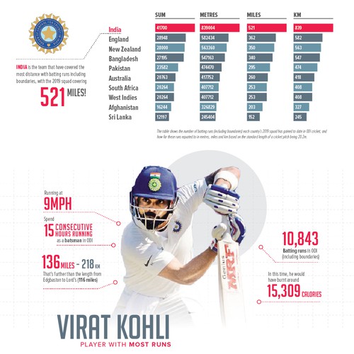 Cricket World Cup Squads Infographic