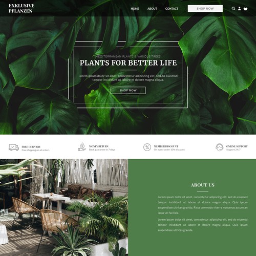 Web Design for Plants Shop