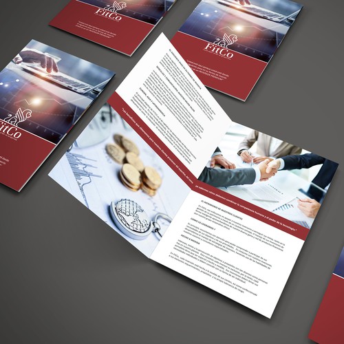 Brochure for financial products service company