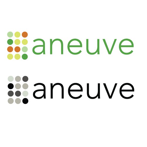 Flat Text based logo for "aneuve" - means "a new" or just "new"
