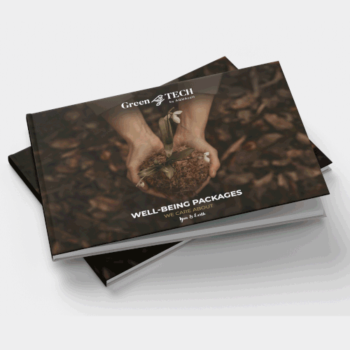 Product Catalog Design