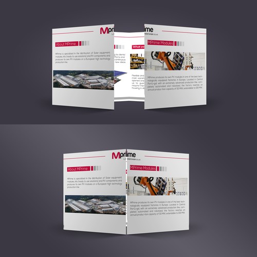 Optimus Energy  Brochure Design