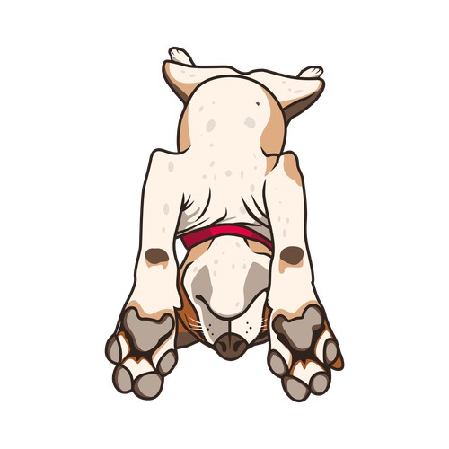 Snoot Sleeping Beagle