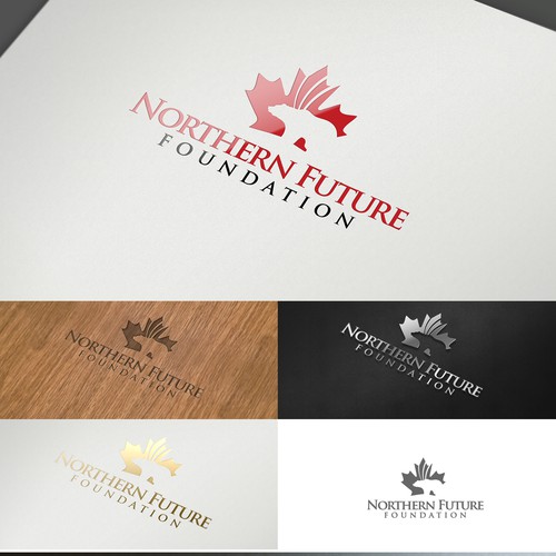 Help Northern Future Foundation with a new logo