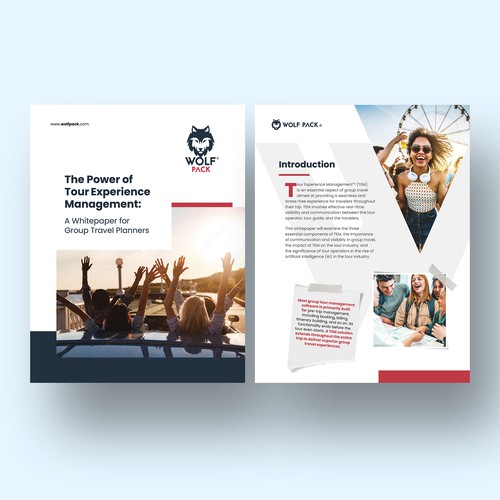 Design Whitepaper for Travel Technology Company