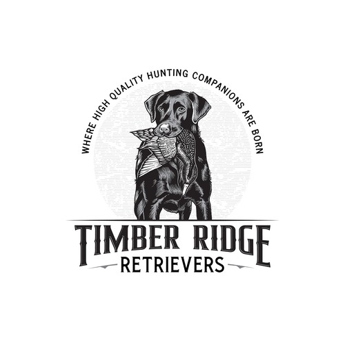 Timber Ridge Retrievers