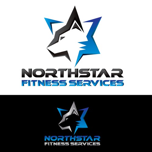 NFS  Northstar Fitness Services needs its first logo for a NEW company!