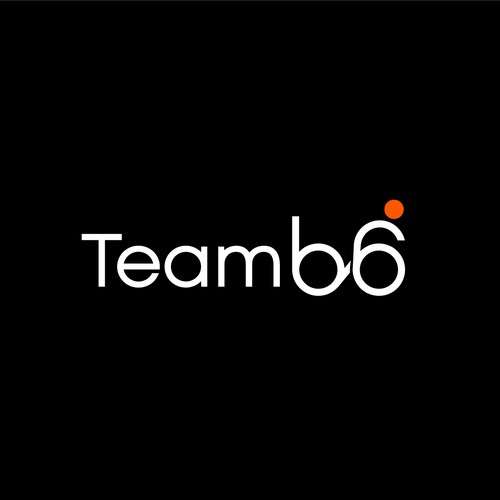 Team B6 _Logo