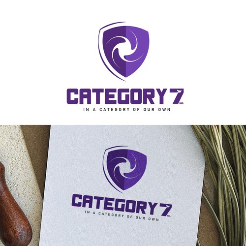 Business consulting logo for CATEGORY 7Inc