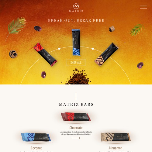 Web page design for chocolate brand