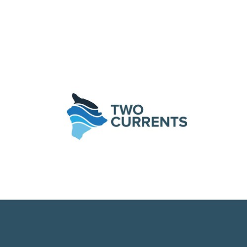 2 currents
