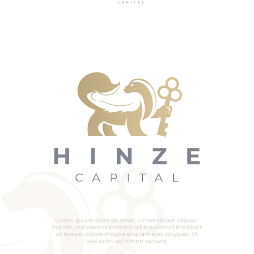 Hinze capital 