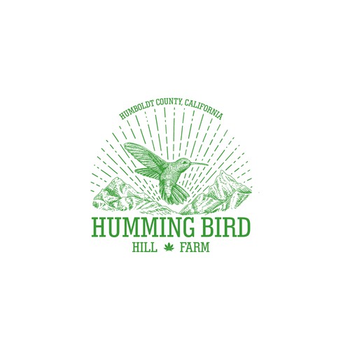 Humming Bird Logo Concept