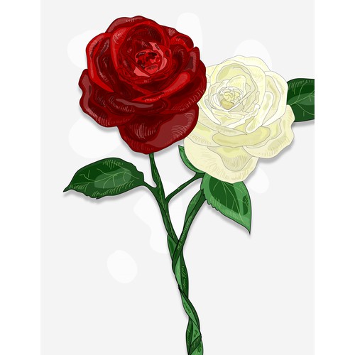 Entangled Roses illustration for YA novel