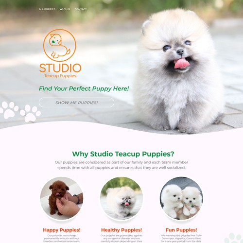 Website - Showcasing and selling teacup puppies