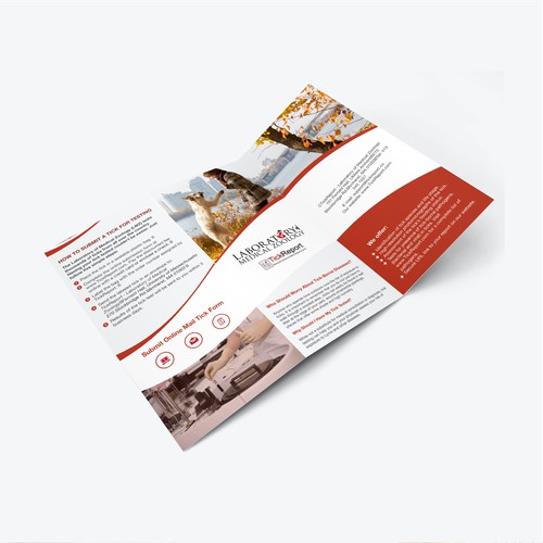 brochure designs forLaboratory of Medical Zoology - TickReport