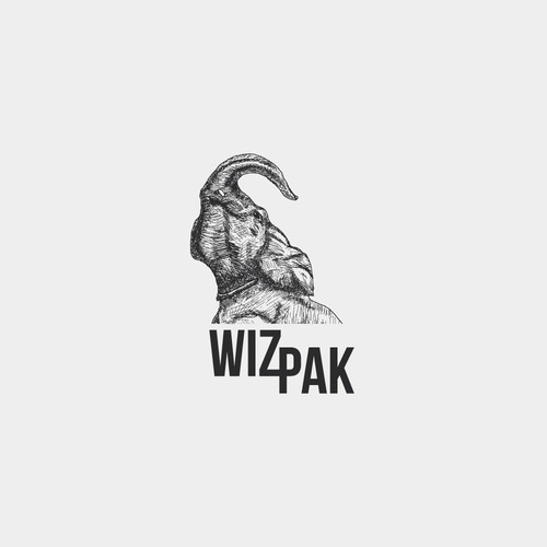 WizPak logo