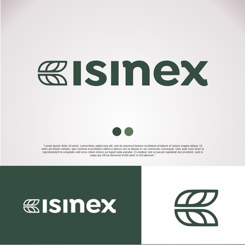 Logo isinex