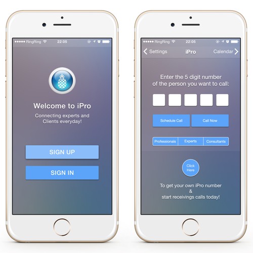 iOS Application UI for Consulting Company