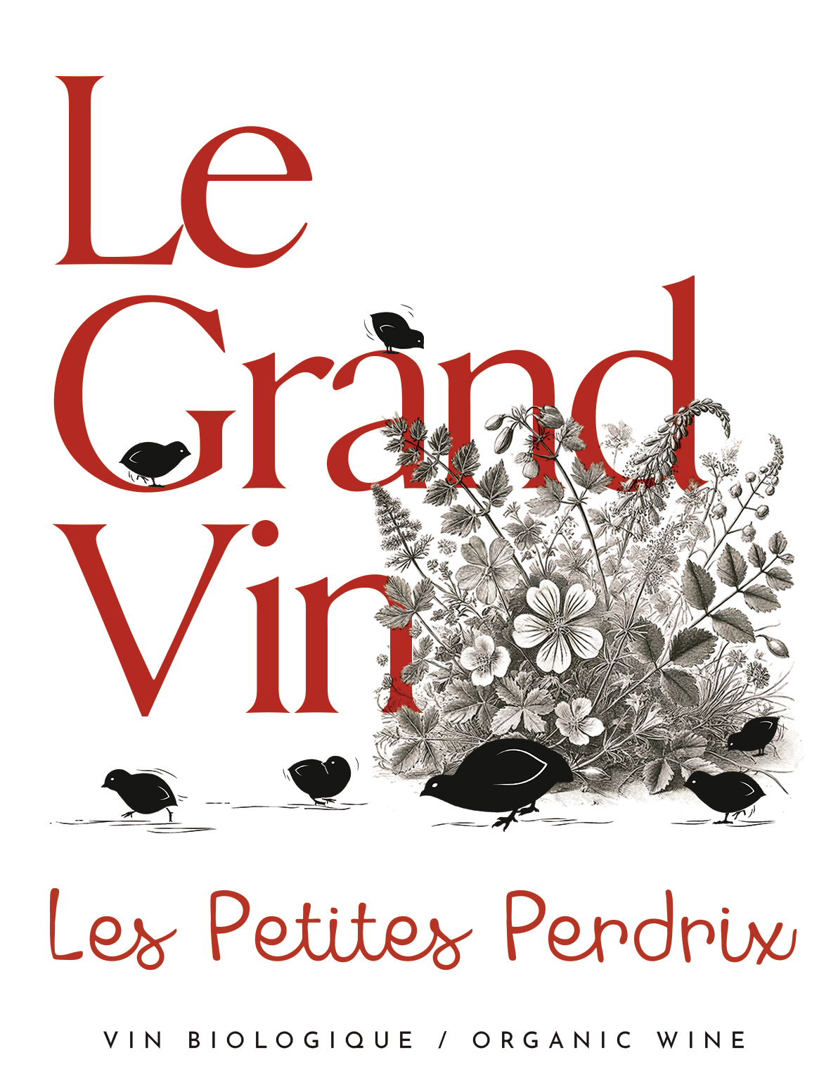 creation of a high quality wine label, inspired by the upgrade/ evolution of an existing label.