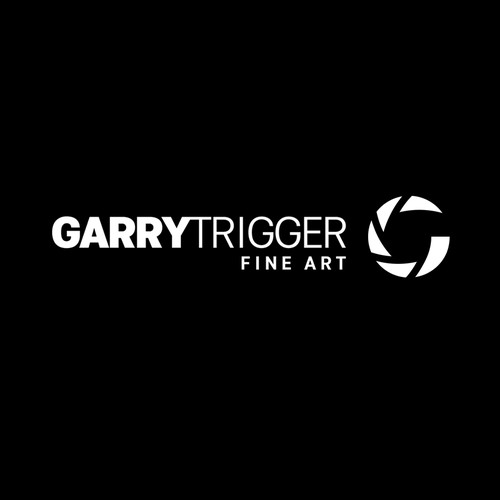 Classy logo for fine art print photographer