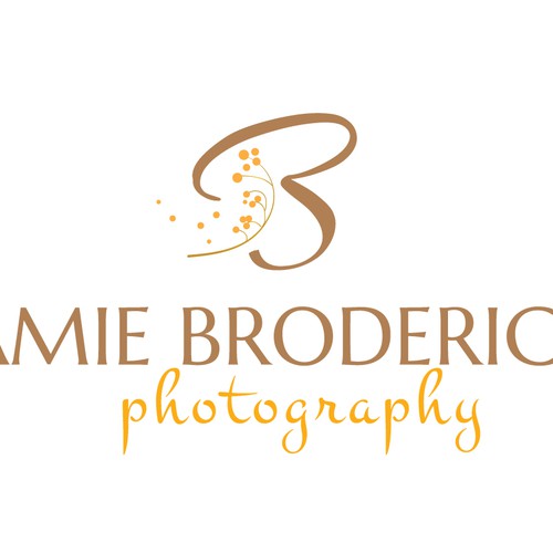 Create a country chic  logo for a Photographer