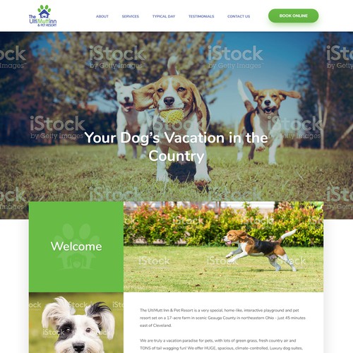 Web Design for a Unique activity-based dog care facility