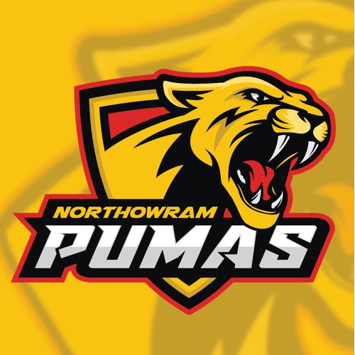 Northhowram Pumas