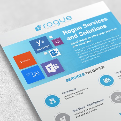 flyer for rogue Services
