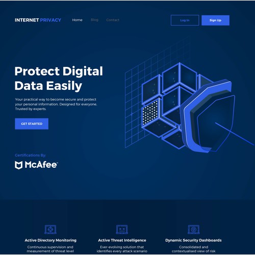 WordPress theme design for Internet Privacy Firm