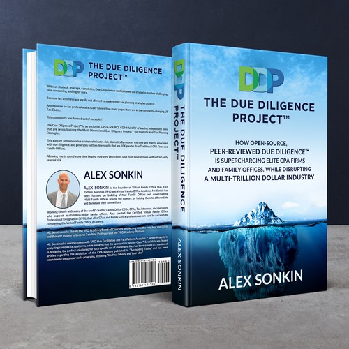 Due Diligence Project™ by Alex Sonkin