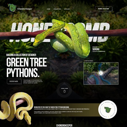 Python Breeding Website